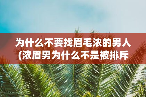 为什么不要找眉毛浓的男人(浓眉男为什么不是被排斥的对象？)