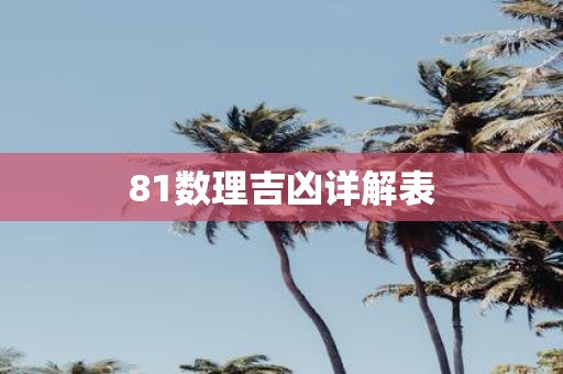 81数理吉凶详解表