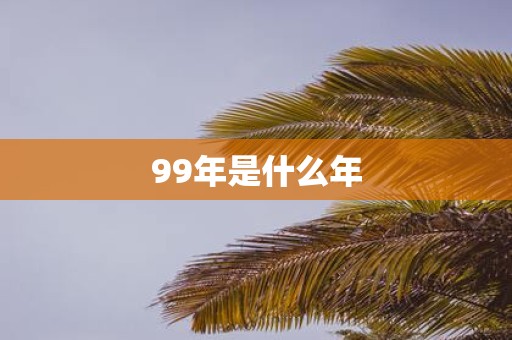 99年是什么年