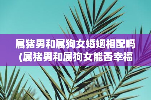 属猪男和属狗女婚姻相配吗(属猪男和属狗女能否幸福婚姻？)