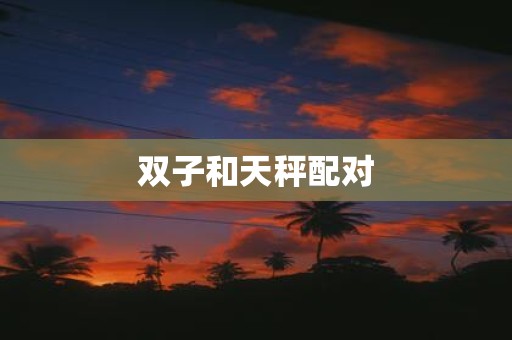 双子和天秤配对