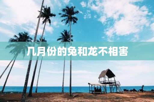 几月份的兔和龙不相害