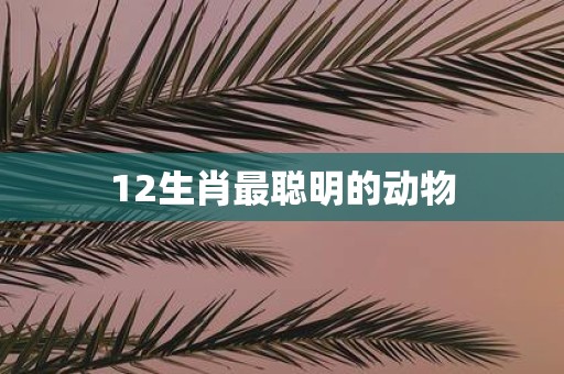 12生肖最聪明的动物