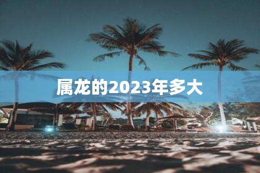 属龙的2025年多大