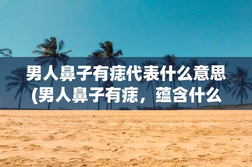 男人鼻子有痣代表什么意思(男人鼻子有痣，蕴含什么样的面相解析？)