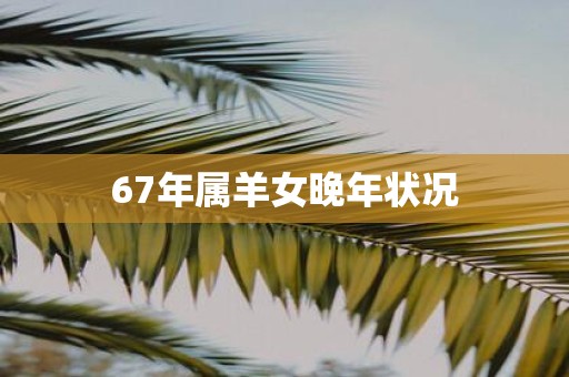 67年属羊女晚年状况