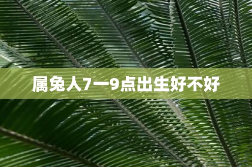 属兔人7一9点出生好不好