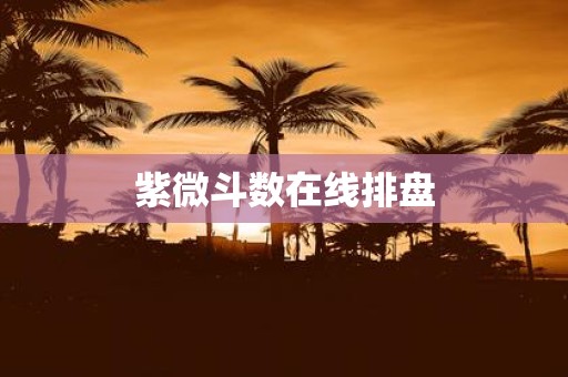 紫微斗数在线排盘