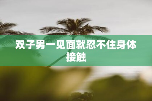双子男一见面就忍不住身体接触