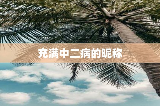 充满中二病的昵称