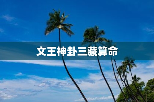 文王神卦三藏算命