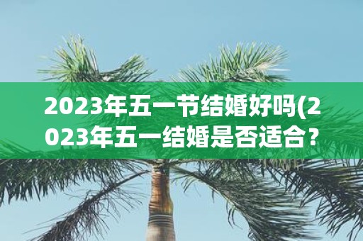 2025年五一节结婚好吗(2025年五一结婚是否适合？)