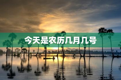 今天是农历几月几号
