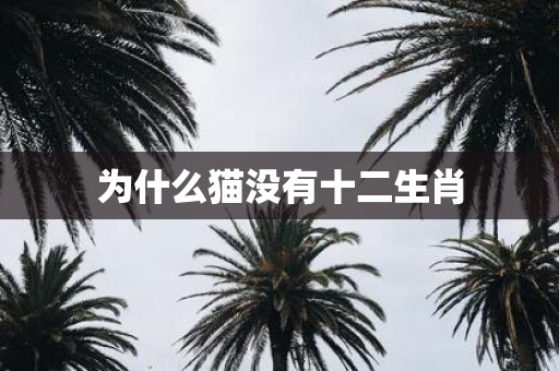 为什么猫没有十二生肖
