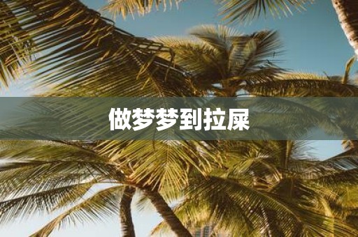 做梦梦到拉屎