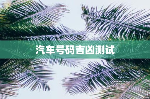 汽车号码吉凶测试