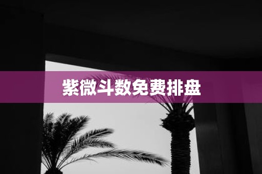 紫微斗数免费排盘