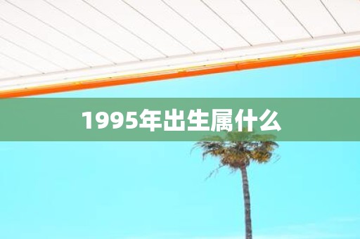 1995年出生属什么
