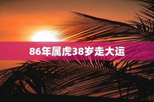 86年属虎38岁走大运