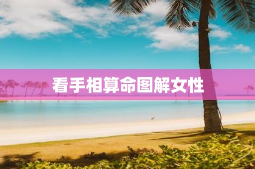 看手相算命图解女性