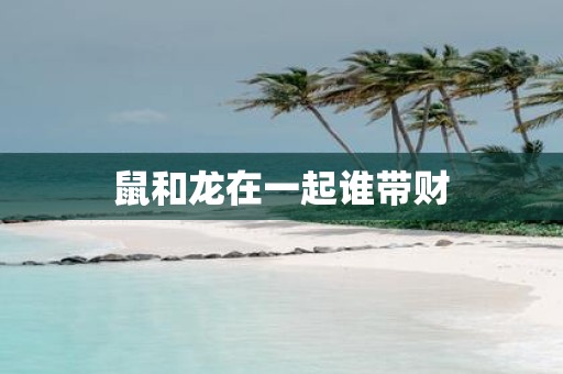 鼠和龙在一起谁带财