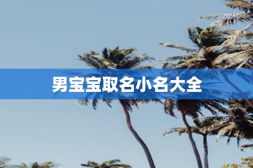 男宝宝取名小名大全