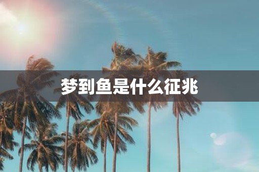 梦到鱼是什么征兆