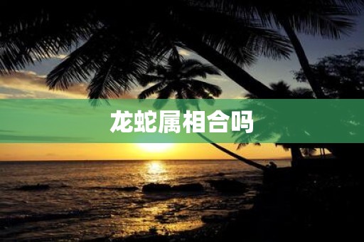 龙蛇属相合吗