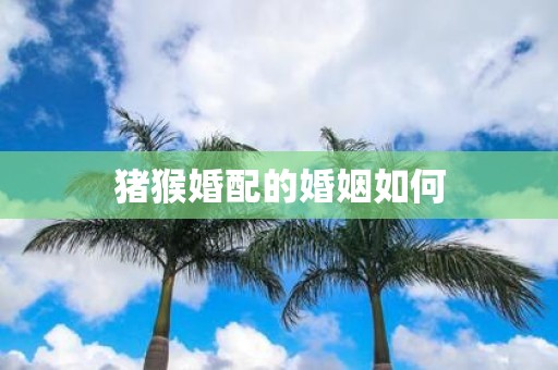 猪猴婚配的婚姻如何