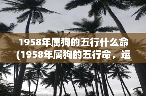 1958年属狗的五行什么命(1958年属狗的五行命，运势如何？)