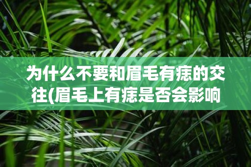 为什么不要和眉毛有痣的交往(眉毛上有痣是否会影响人际交往？)