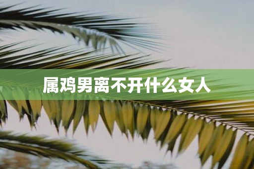 属鸡男离不开什么女人