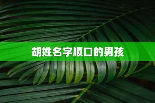 胡姓名字顺口的男孩