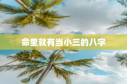 命里就有当小三的八字