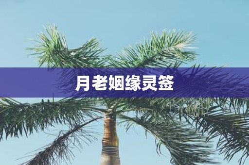 月老姻缘灵签