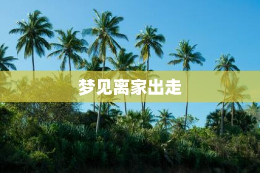 梦见离家出走
