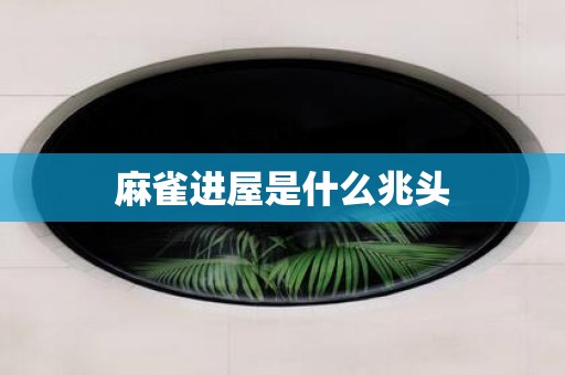 麻雀进屋是什么兆头