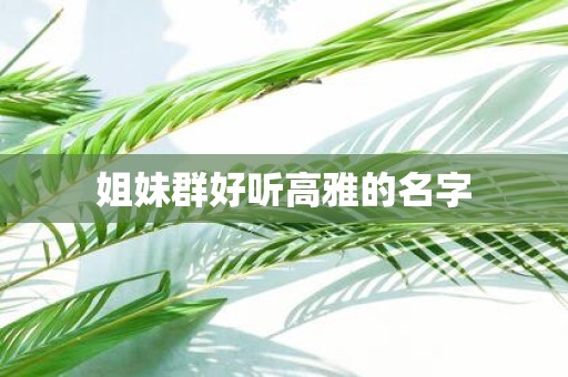 姐妹群好听高雅的名字