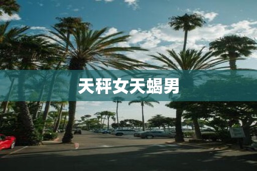 天秤女天蝎男