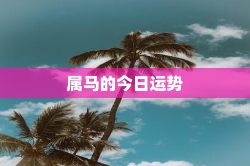 属马的今日运势