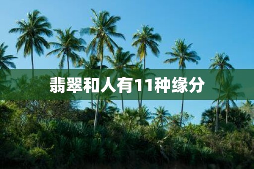翡翠和人有11种缘分
