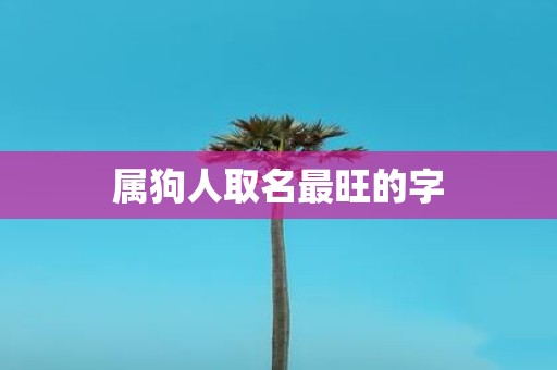属狗人取名最旺的字