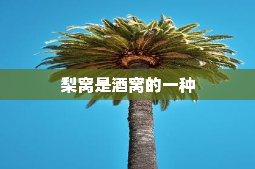 梨窝是酒窝的一种