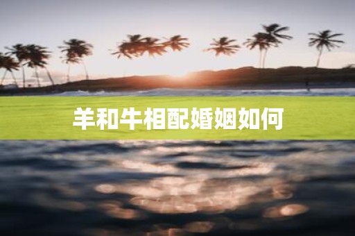 羊和牛相配婚姻如何