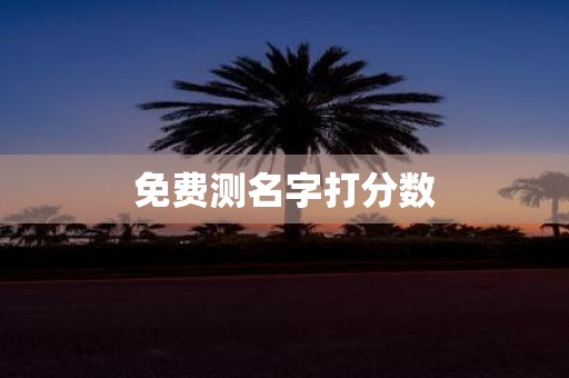 免费测名字打分数