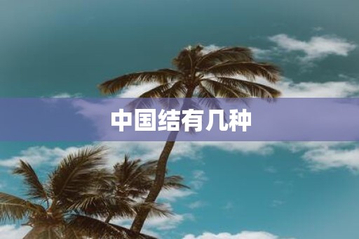 中国结有几种