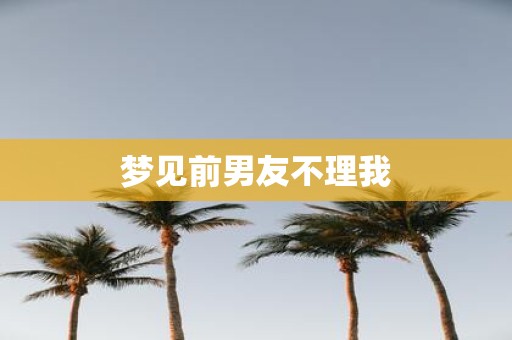 梦见前男友不理我