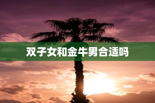 双子女和金牛男合适吗