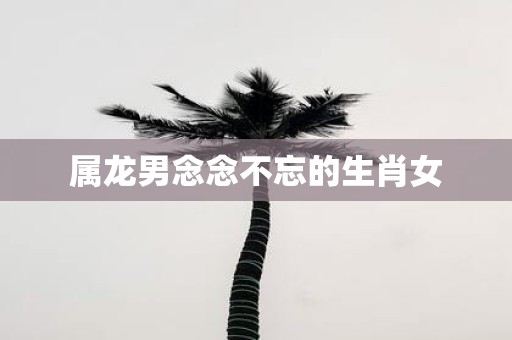 属龙男念念不忘的生肖女