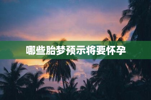哪些胎梦预示将要怀孕